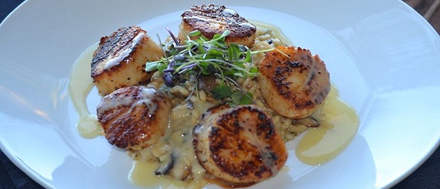 Wild Mushroom Risotto with Seared Scallops